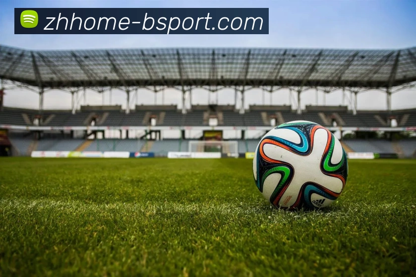 B体育官网发展历程